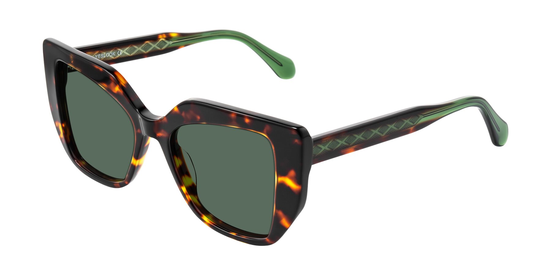 Angle of Arctic in Tortoise with Green Polarized Lenses