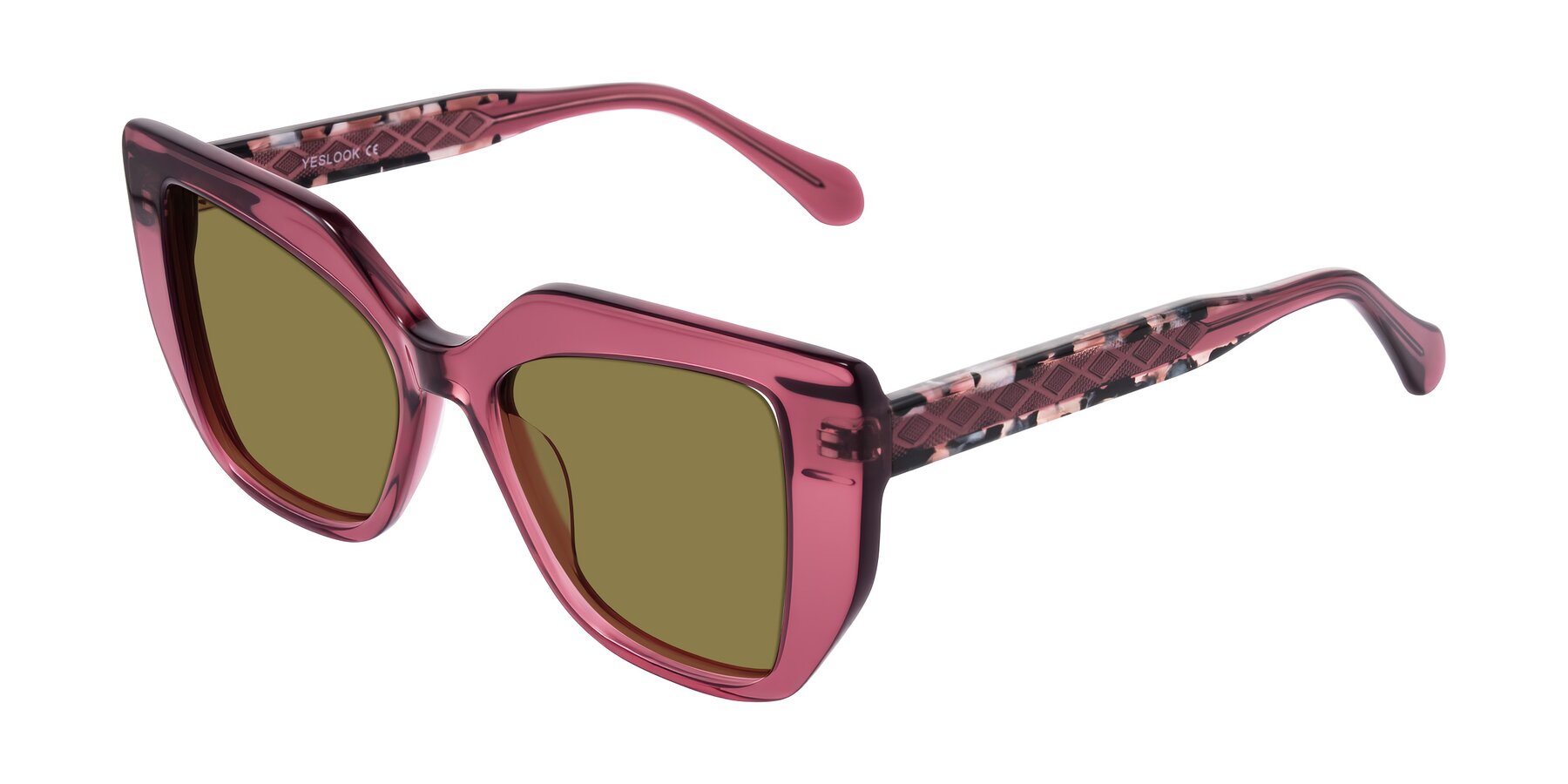 Angle of Arctic in Violet with Brown Polarized Lenses