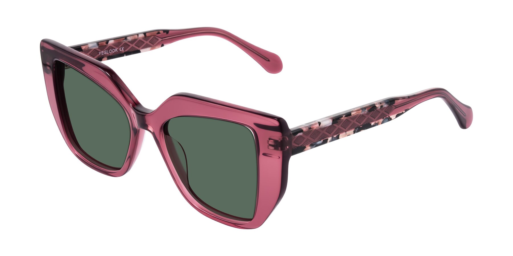Angle of Arctic in Violet with Green Polarized Lenses