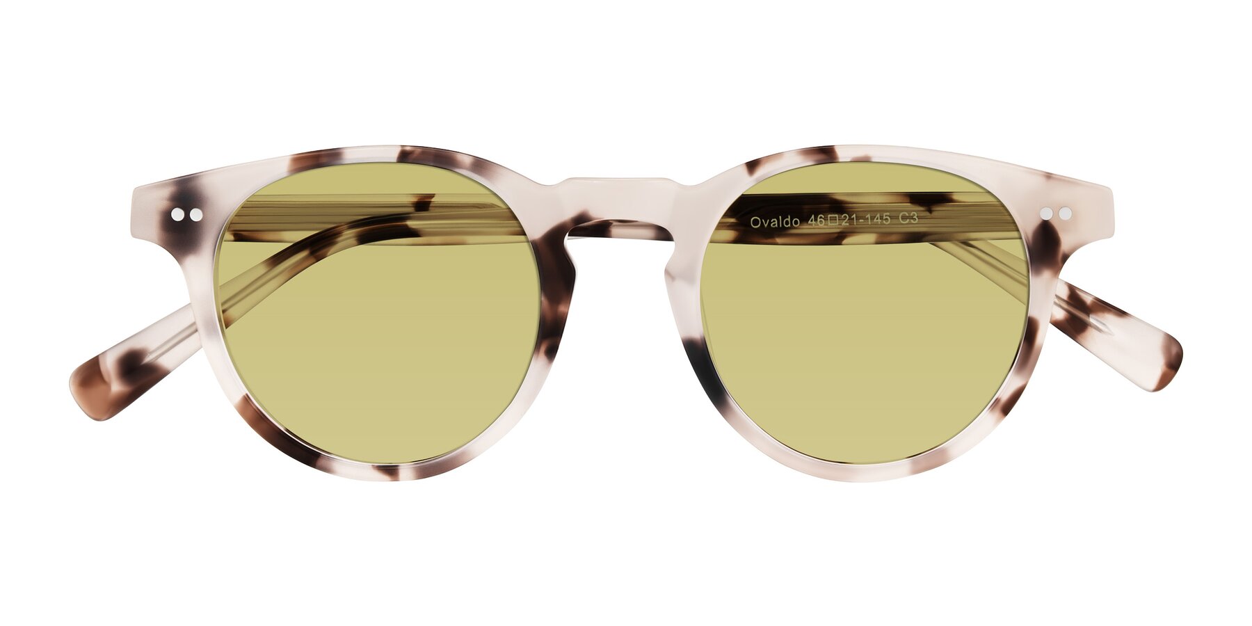 Folded Front of Ovaldo in Ivory Tortoise with Medium Champagne Tinted Lenses
