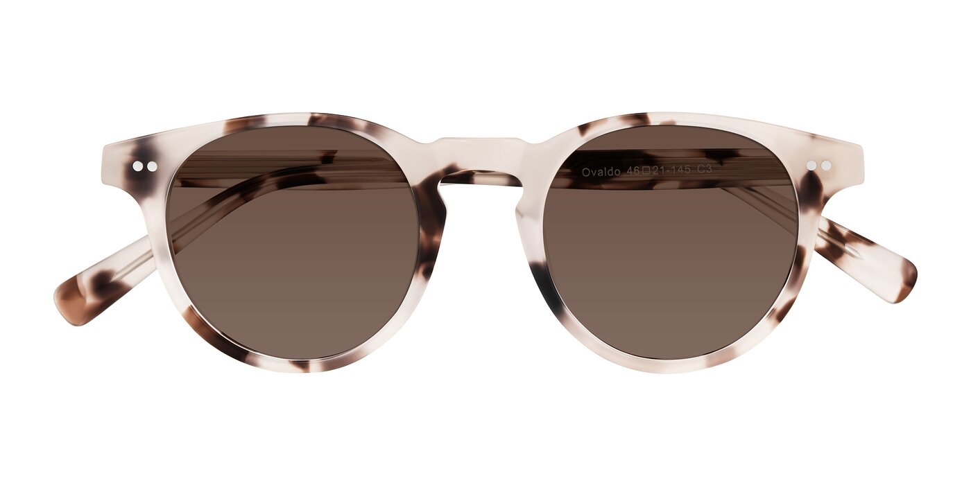 Ovaldo - Ivory Tortoise Tinted Sunglasses