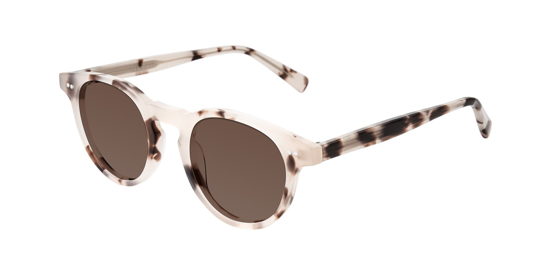 Angle of Ovaldo in Ivory Tortoise with Brown Tinted Lenses
