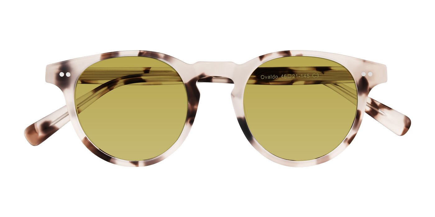 Ovaldo - Ivory Tortoise Tinted Sunglasses