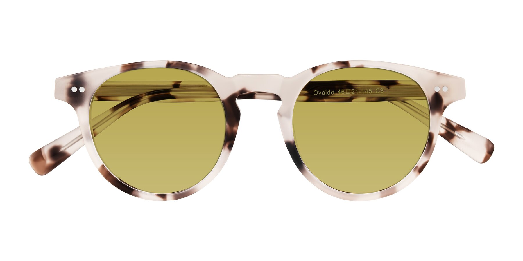 Folded Front of Ovaldo in Ivory Tortoise with Champagne Tinted Lenses