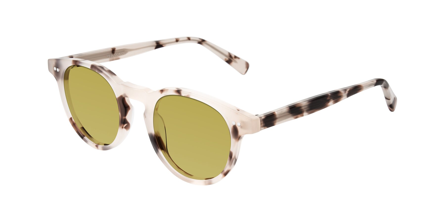 Angle of Ovaldo in Ivory Tortoise with Champagne Tinted Lenses