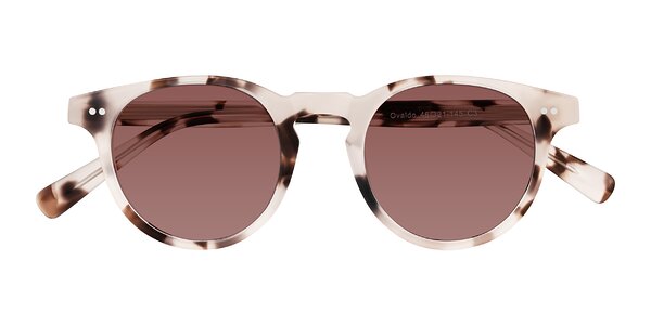 Front of Ovaldo in Ivory Tortoise