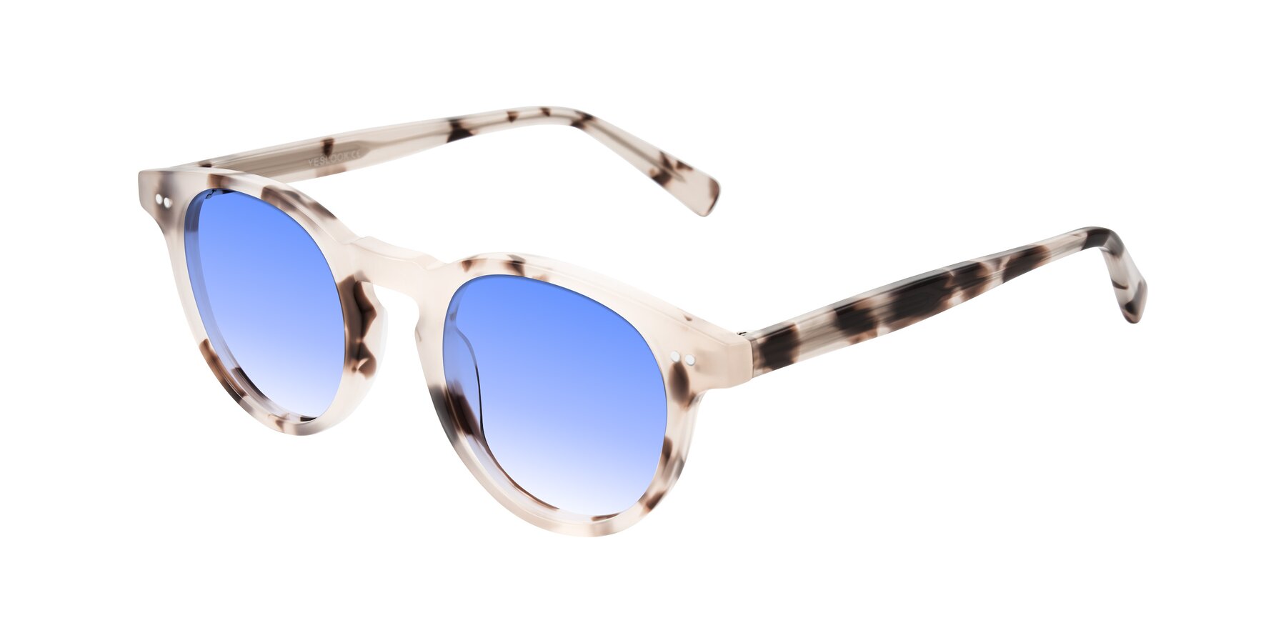 Angle of Ovaldo in Ivory Tortoise with Blue Gradient Lenses