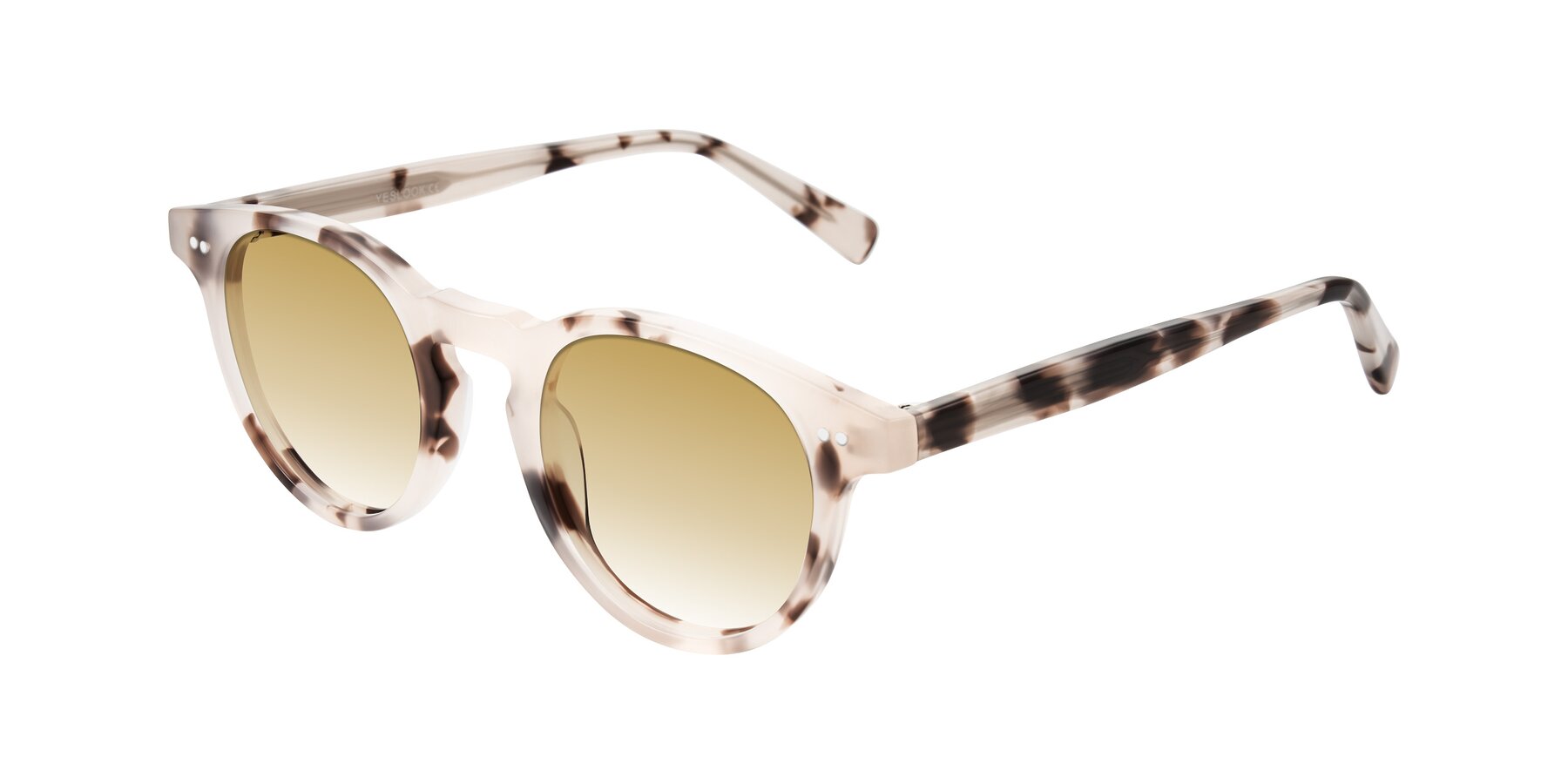 Angle of Ovaldo in Ivory Tortoise with Champagne Gradient Lenses