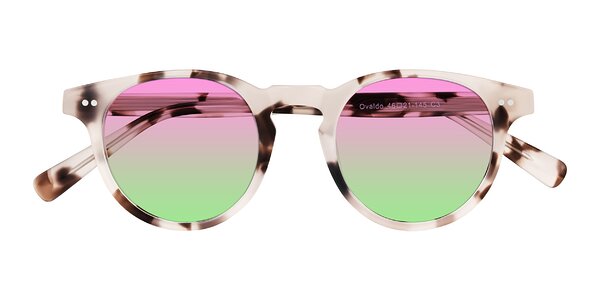 Front of Ovaldo in Ivory Tortoise