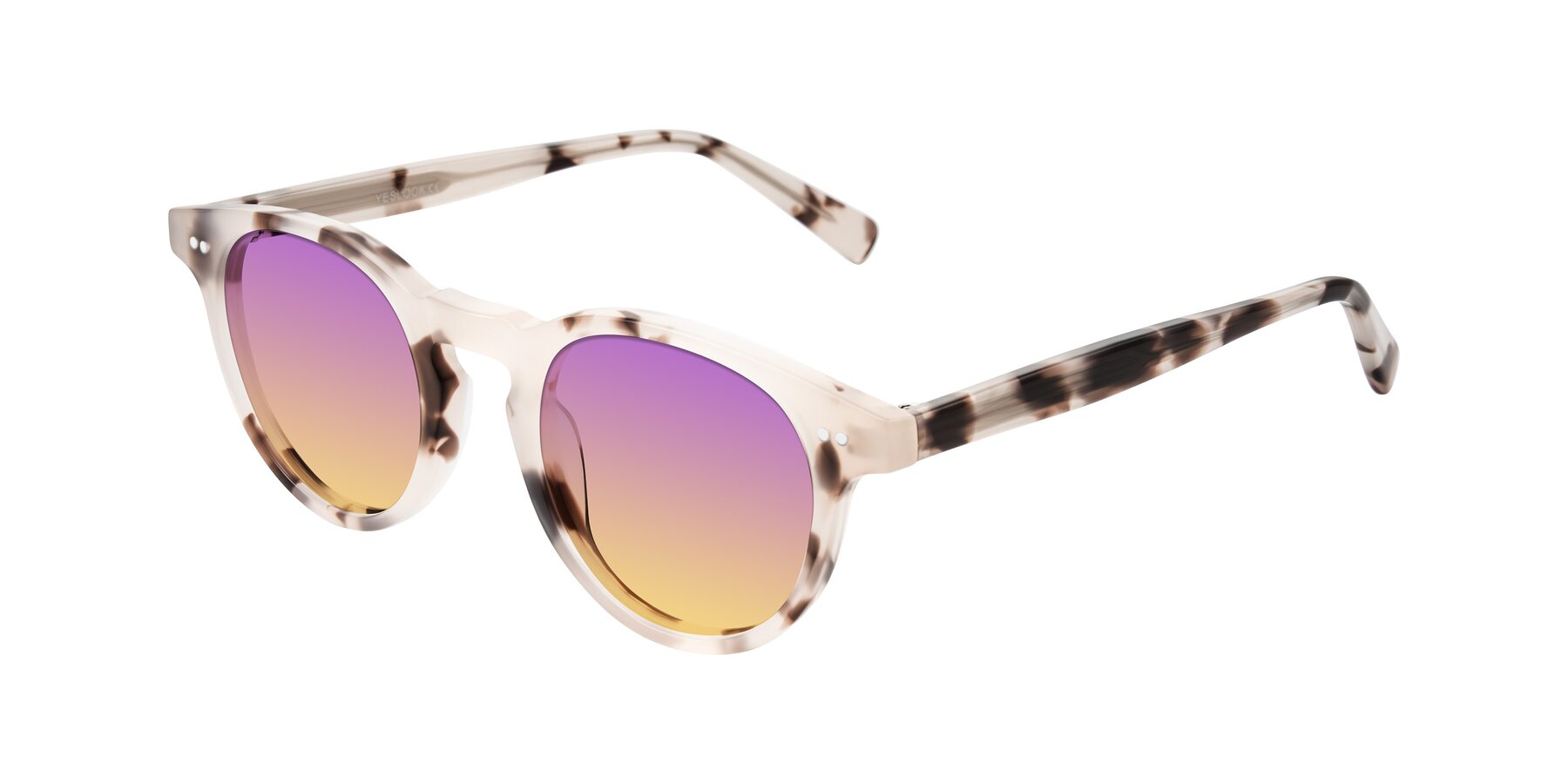 Angle of Ovaldo in Ivory Tortoise with Purple / Yellow Gradient Lenses