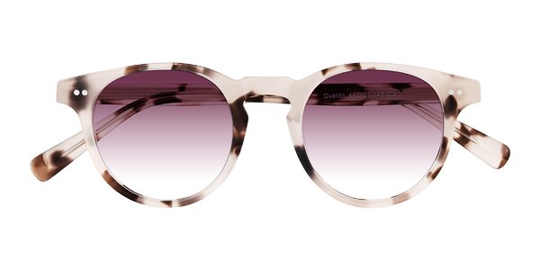Front of Ovaldo in Ivory Tortoise