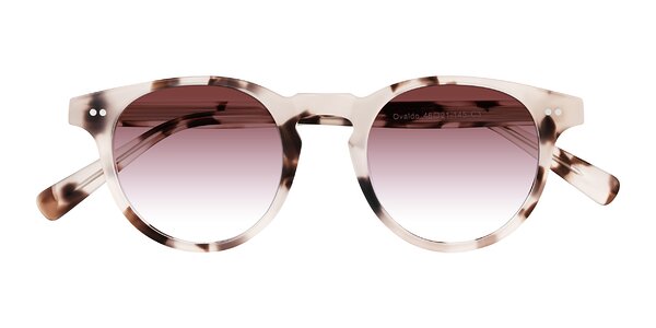 Front of Ovaldo in Ivory Tortoise