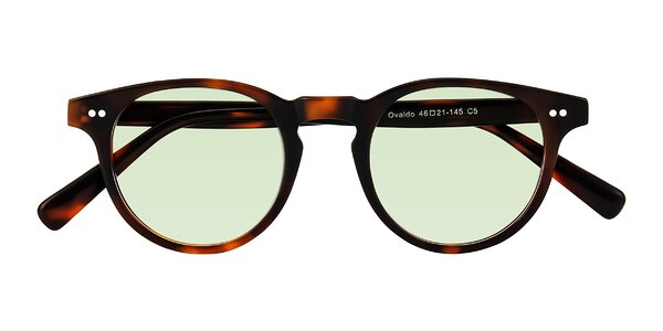 Front of Ovaldo in Tortoise