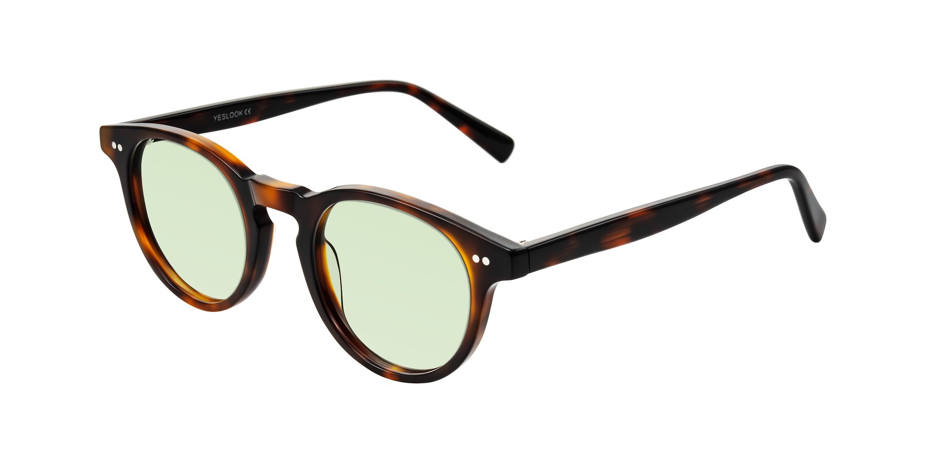 Angle of Ovaldo in Tortoise with Light Green Tinted Lenses