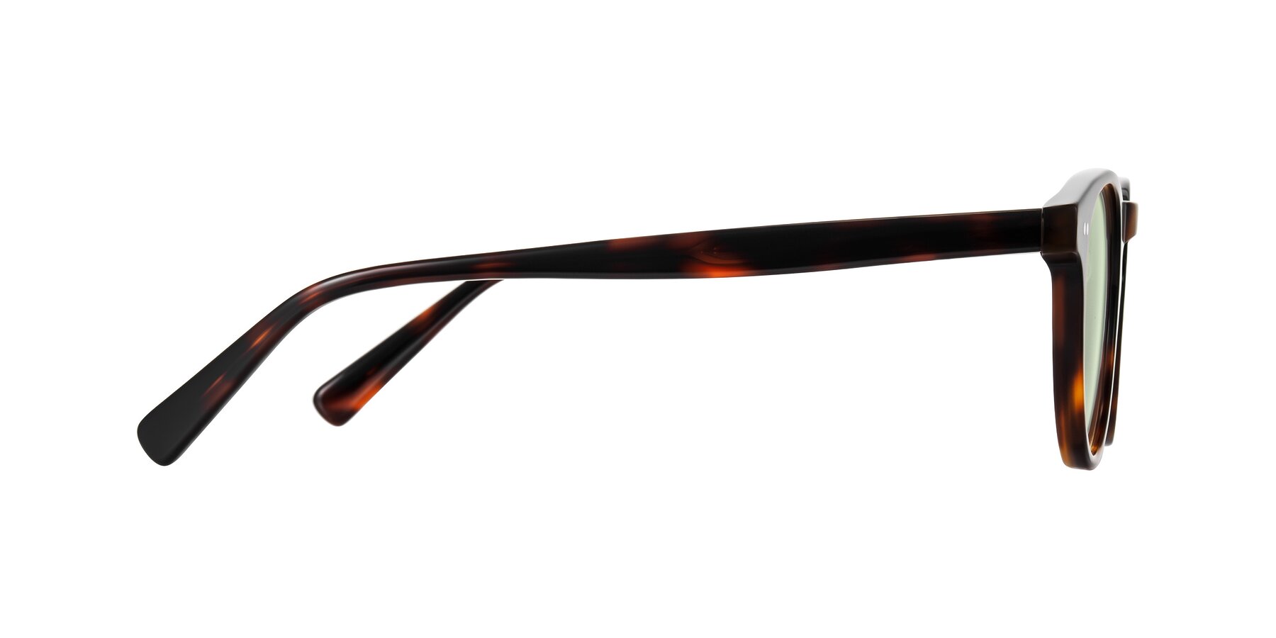 Side of Ovaldo in Tortoise with Light Green Tinted Lenses