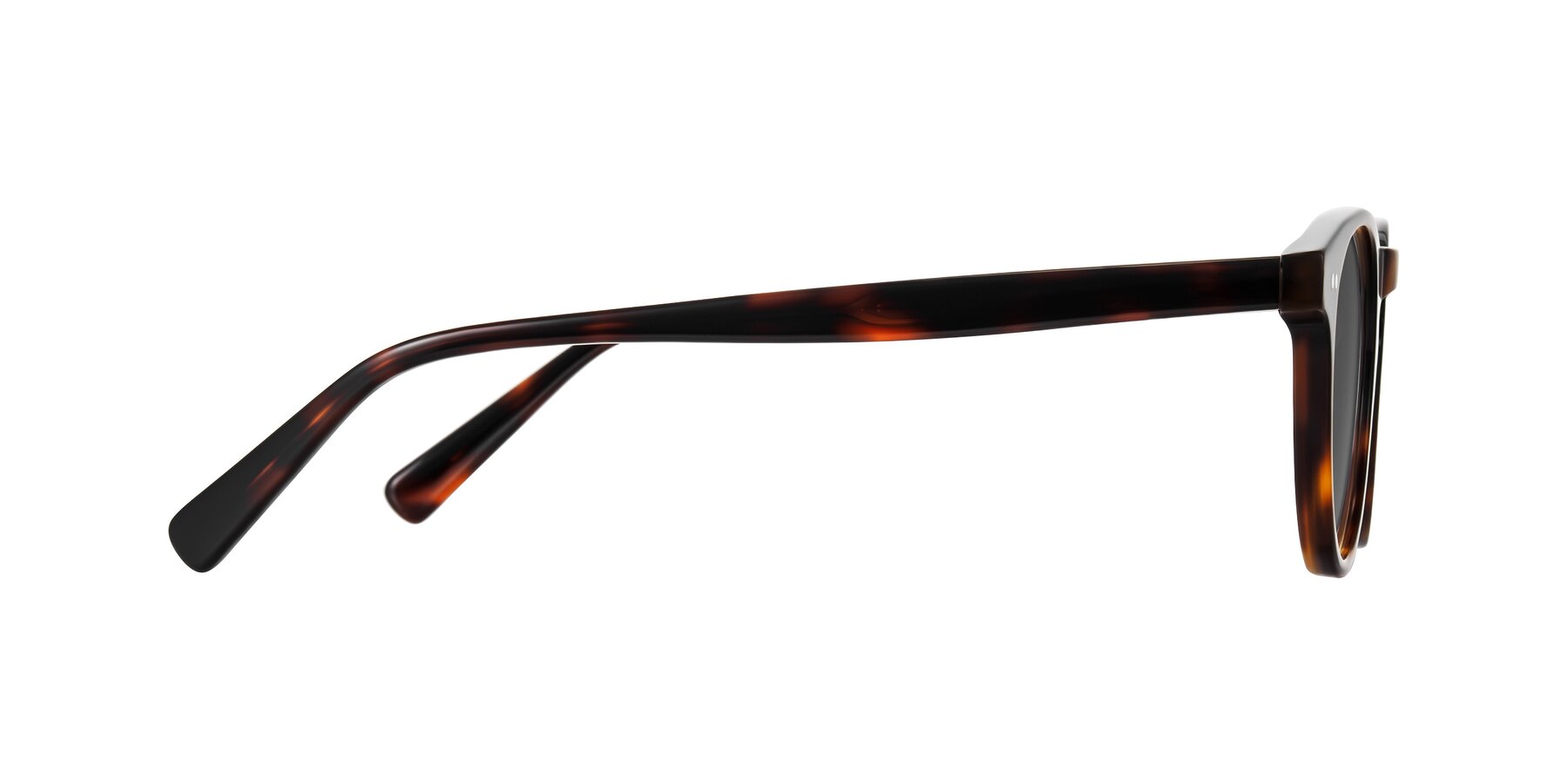 Side of Ovaldo in Tortoise with Medium Gray Tinted Lenses