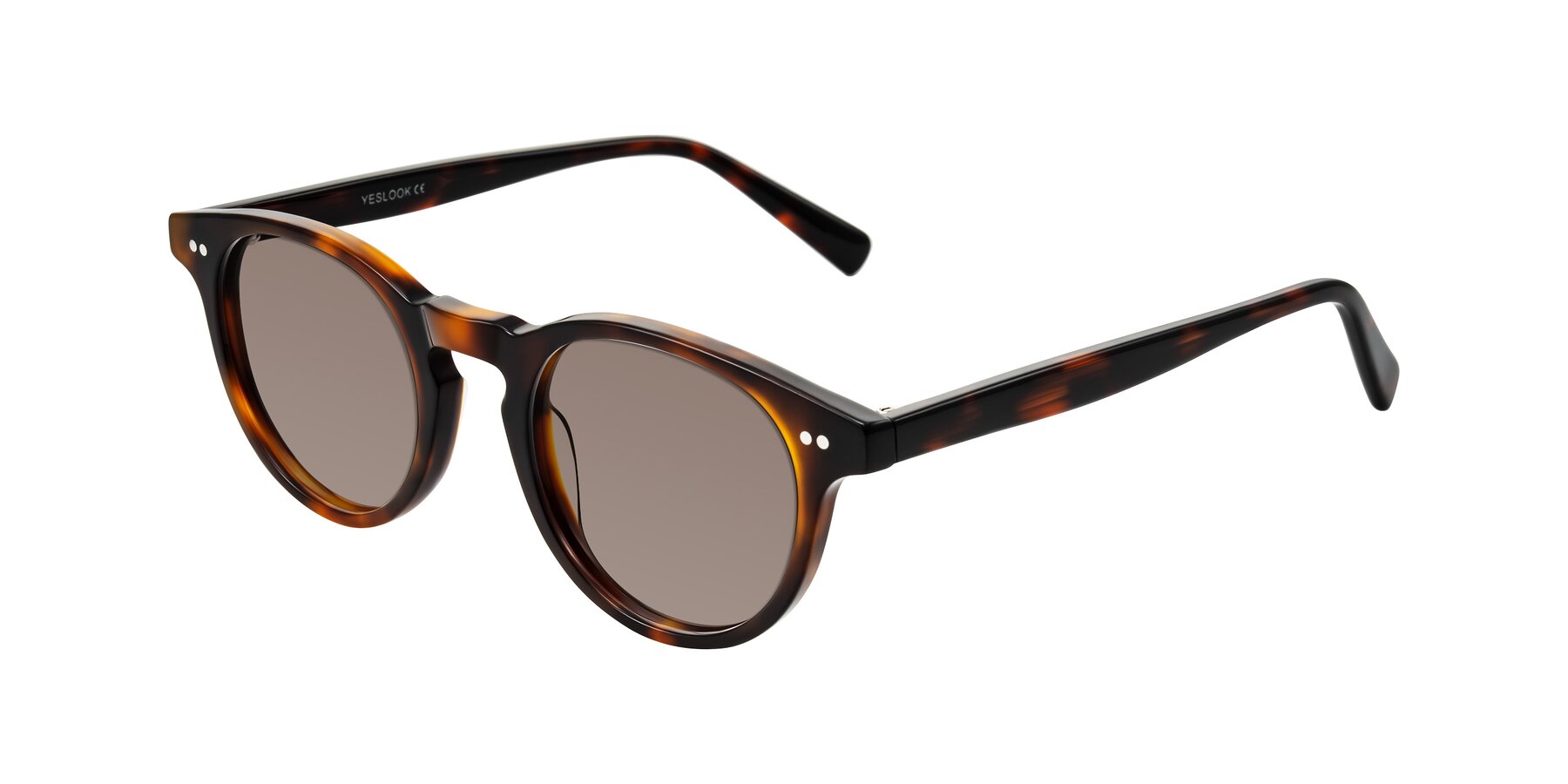 Angle of Ovaldo in Tortoise with Medium Brown Tinted Lenses