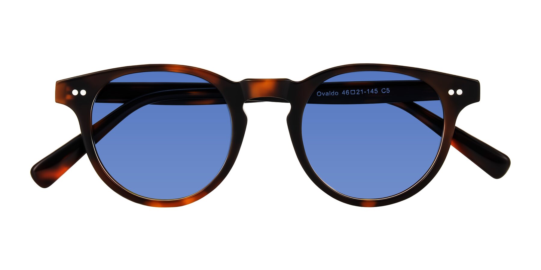 Folded Front of Ovaldo in Tortoise with Blue Tinted Lenses