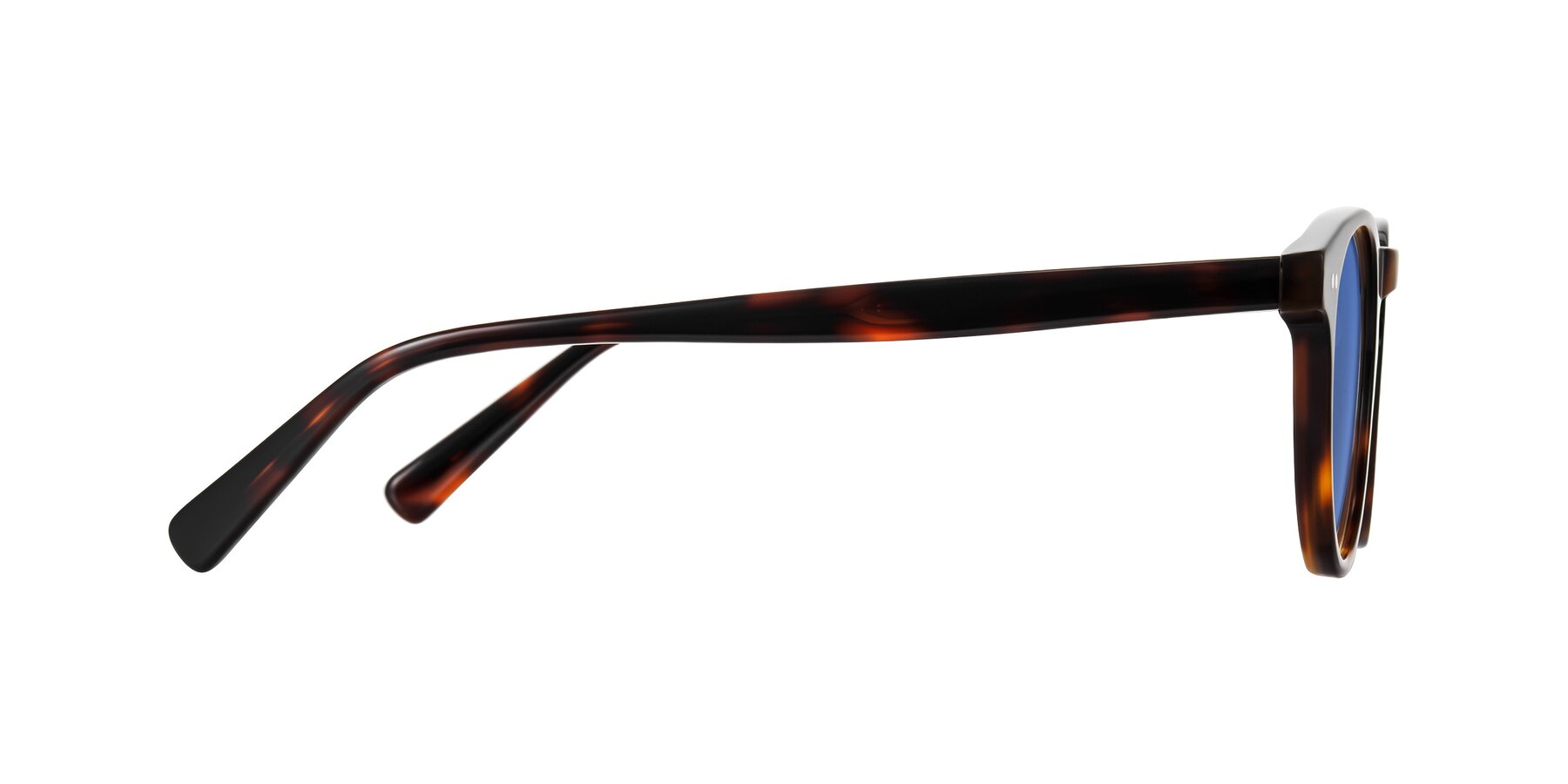 Side of Ovaldo in Tortoise with Blue Tinted Lenses