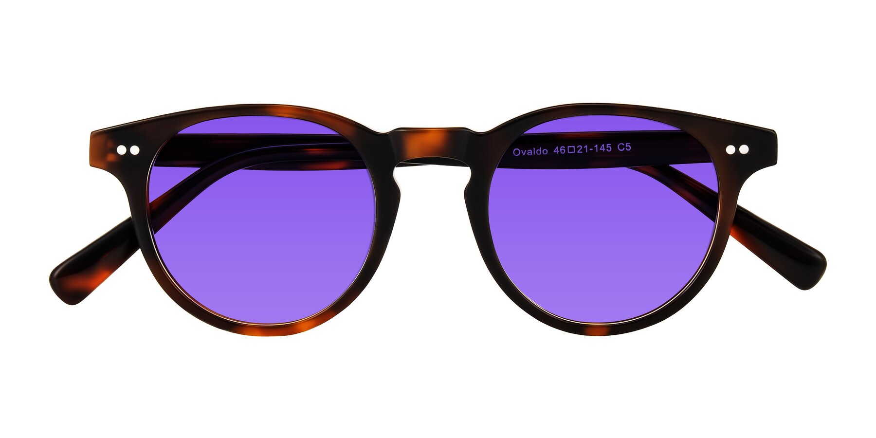 Folded Front of Ovaldo in Tortoise with Purple Tinted Lenses