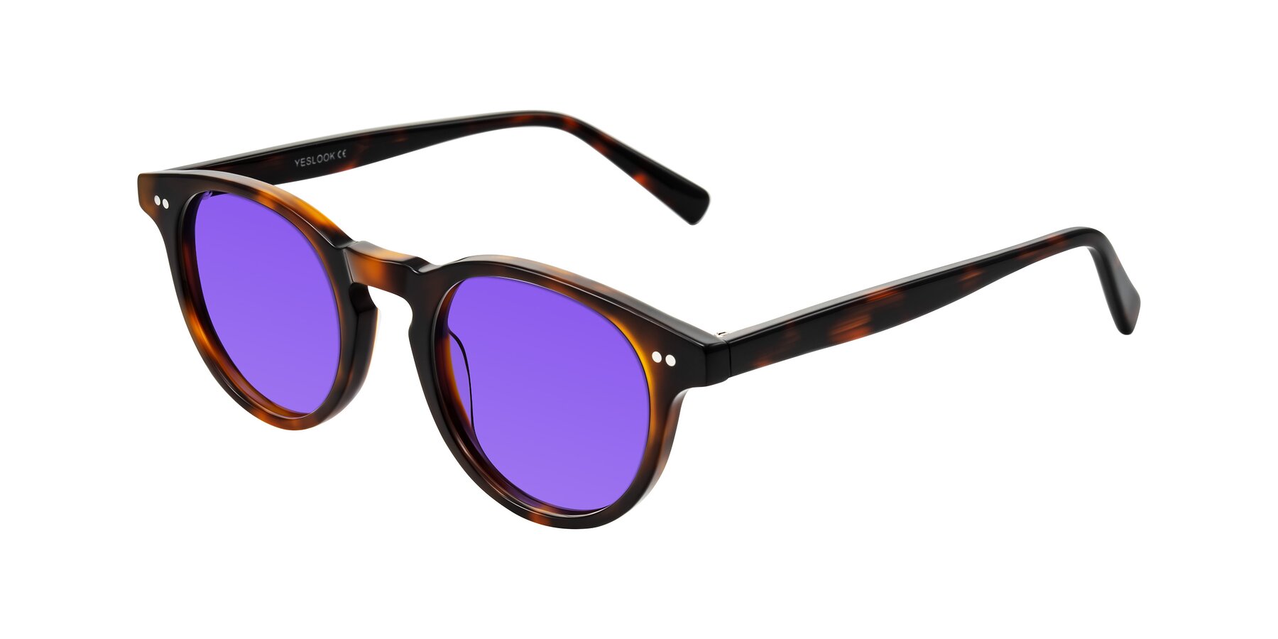 Angle of Ovaldo in Tortoise with Purple Tinted Lenses