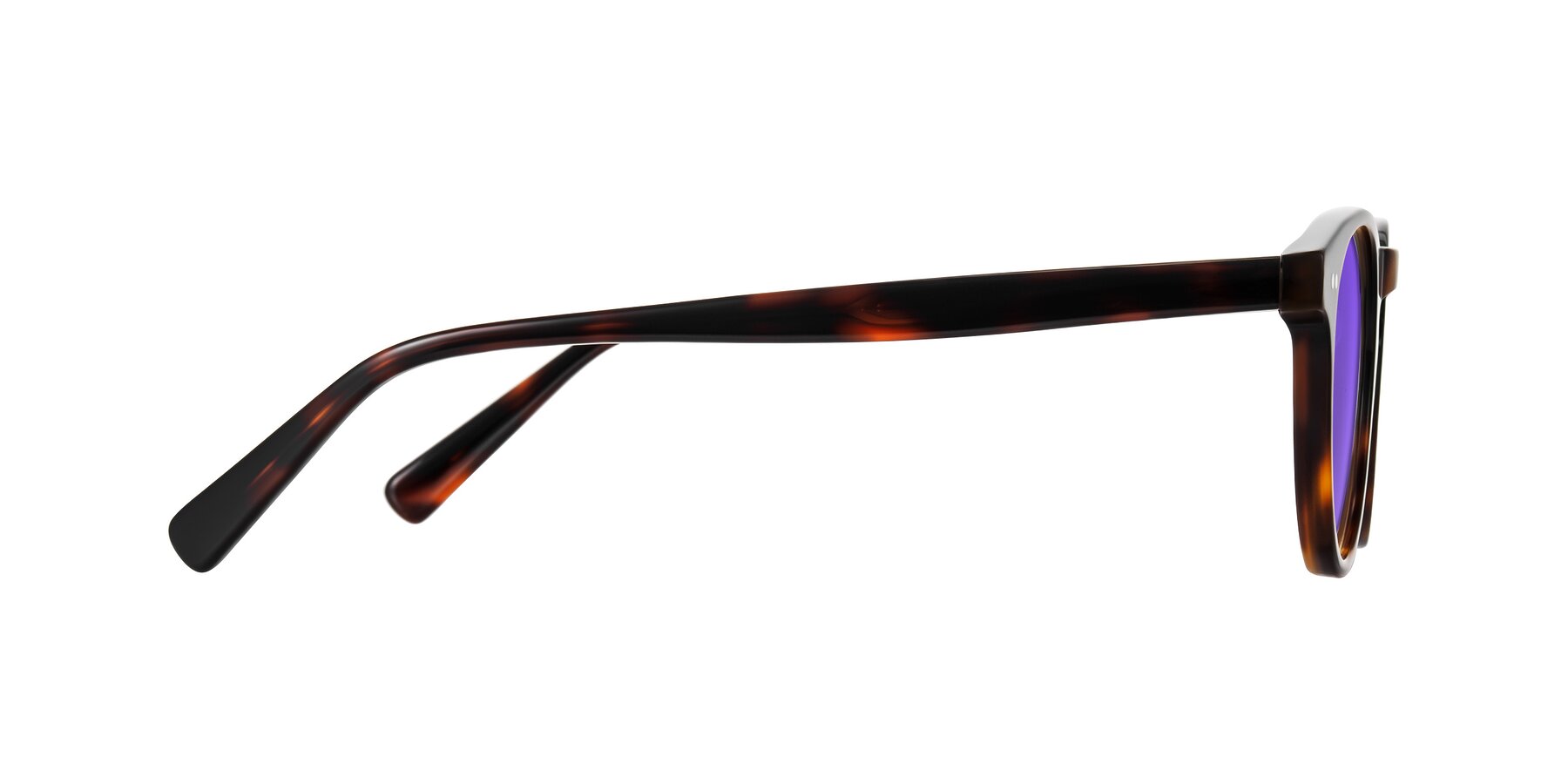 Side of Ovaldo in Tortoise with Purple Tinted Lenses