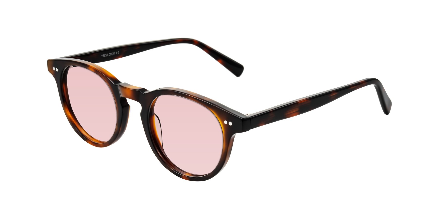 Angle of Ovaldo in Tortoise with Light Garnet Tinted Lenses