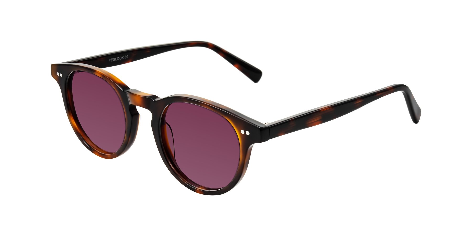 Angle of Ovaldo in Tortoise with Wine Tinted Lenses