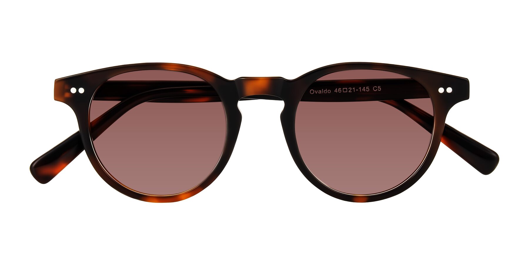 Folded Front of Ovaldo in Tortoise with Garnet Tinted Lenses