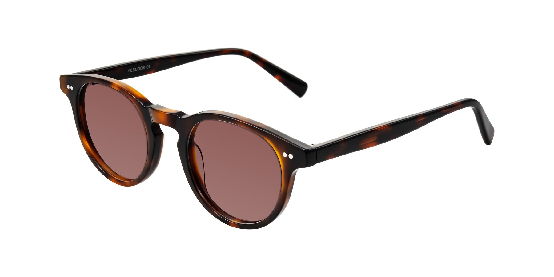 Angle of Ovaldo in Tortoise with Garnet Tinted Lenses