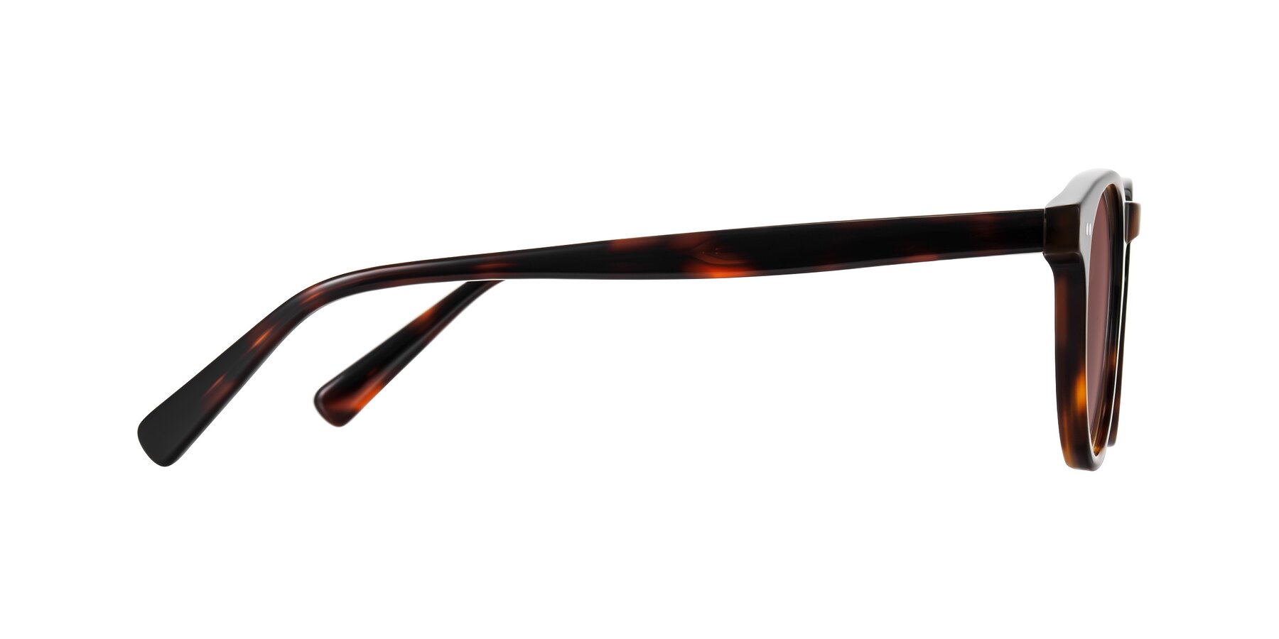 Side of Ovaldo in Tortoise with Garnet Tinted Lenses