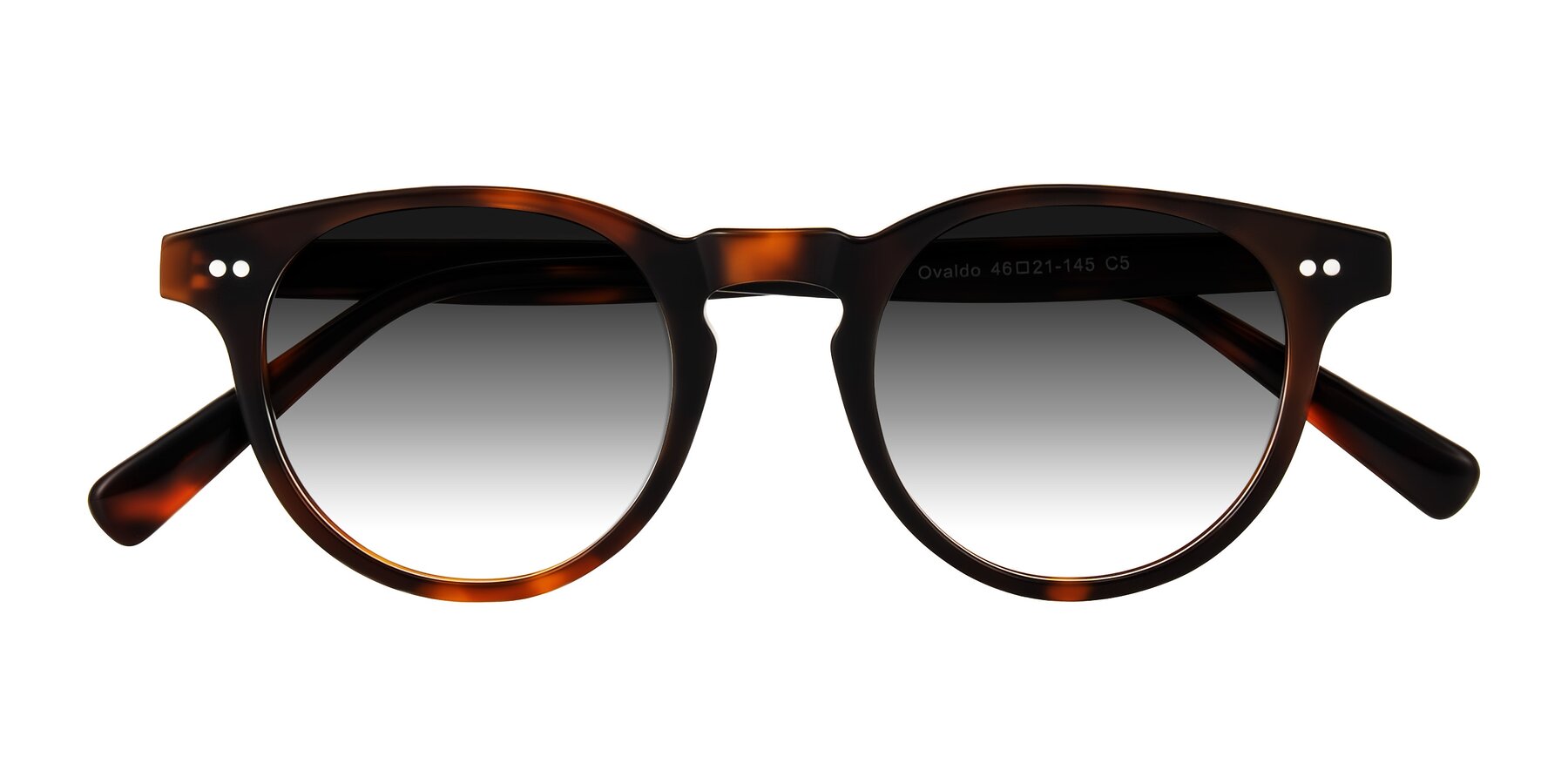 Folded Front of Ovaldo in Tortoise with Gray Gradient Lenses