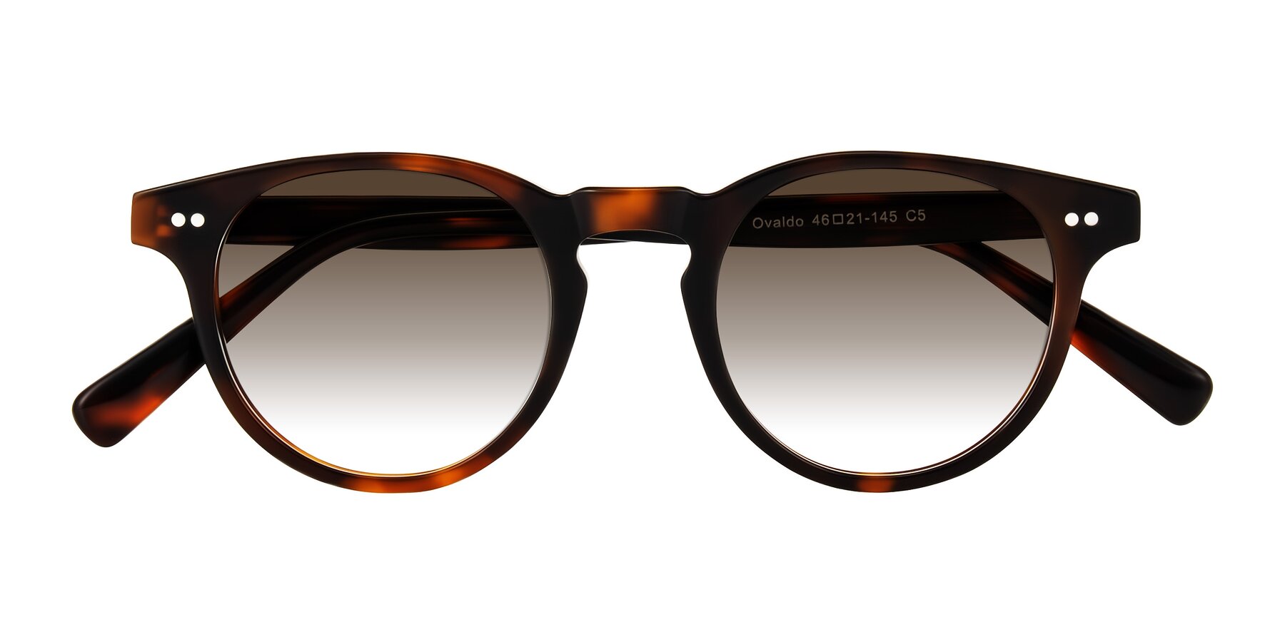 Folded Front of Ovaldo in Tortoise with Brown Gradient Lenses