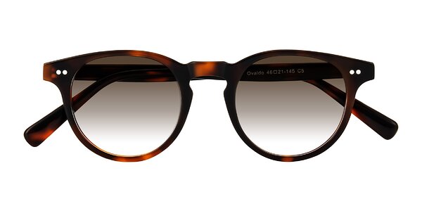 Front of Ovaldo in Tortoise