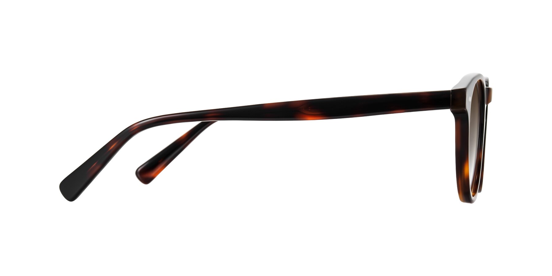 Side of Ovaldo in Tortoise with Brown Gradient Lenses