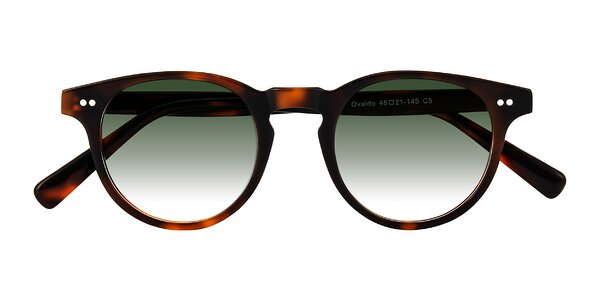 Front of Ovaldo in Tortoise