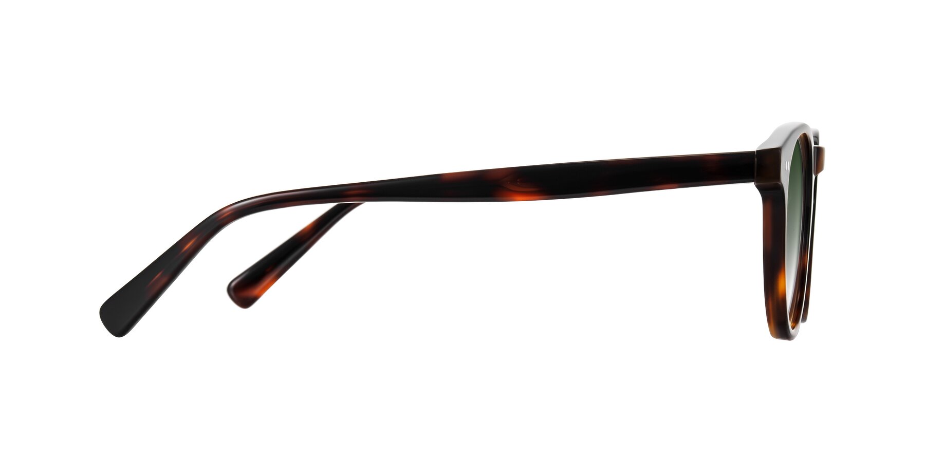 Side of Ovaldo in Tortoise with Green Gradient Lenses