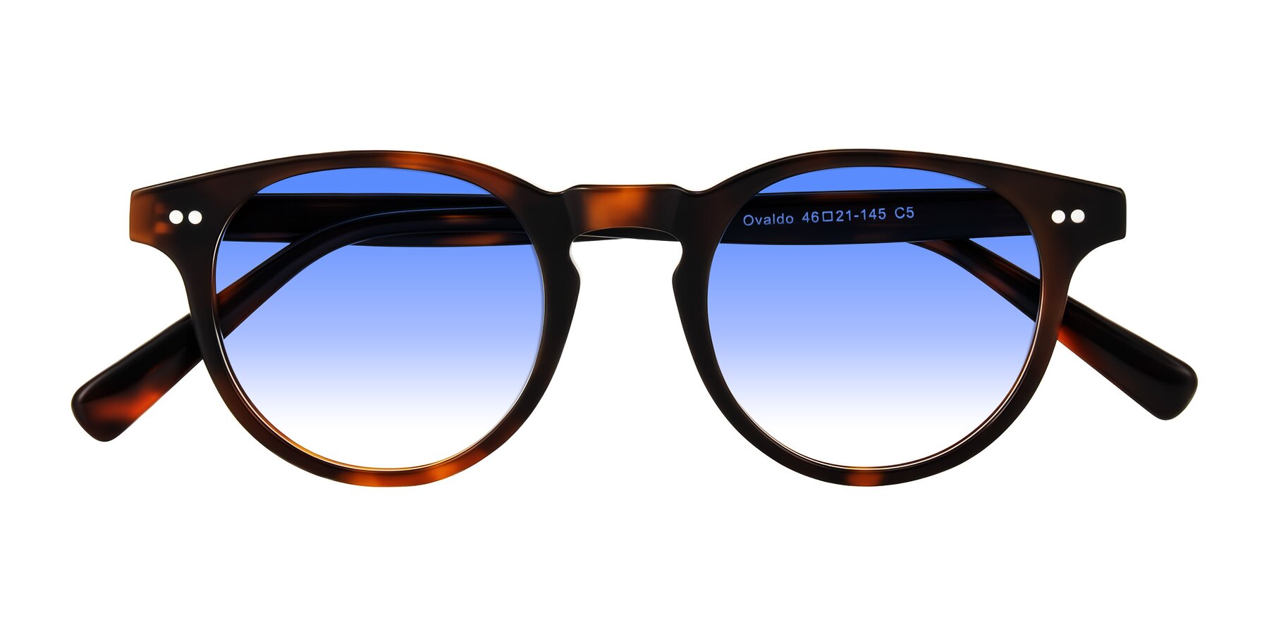 Folded Front of Ovaldo in Tortoise with Blue Gradient Lenses
