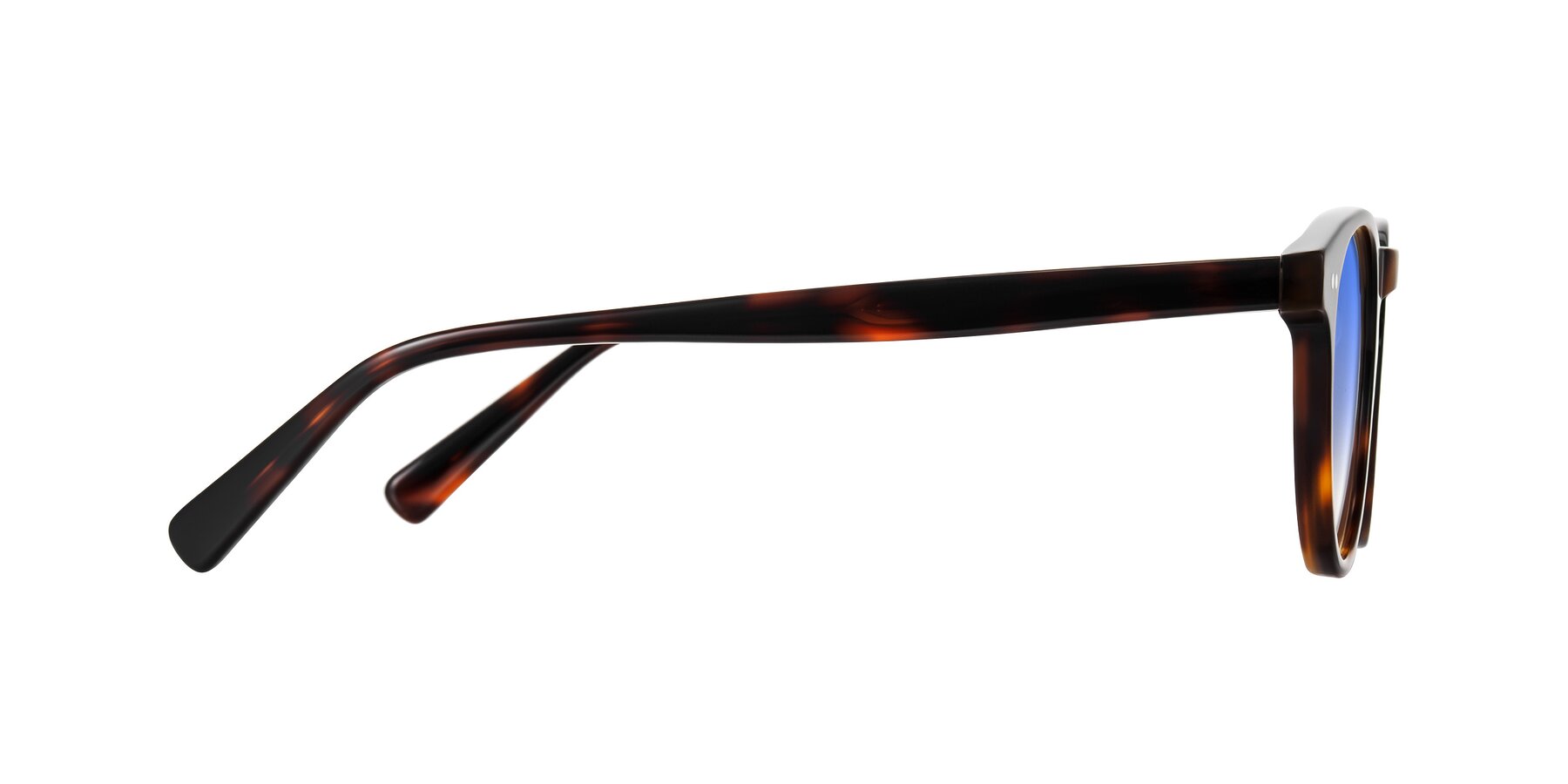 Side of Ovaldo in Tortoise with Blue Gradient Lenses