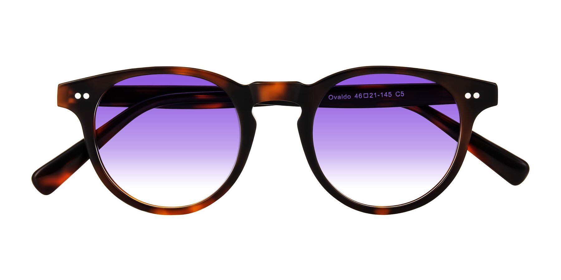 Folded Front of Ovaldo in Tortoise with Purple Gradient Lenses