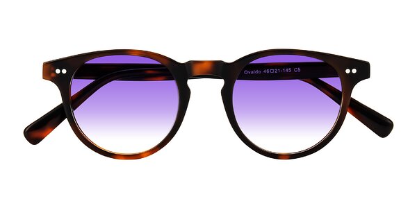 Front of Ovaldo in Tortoise