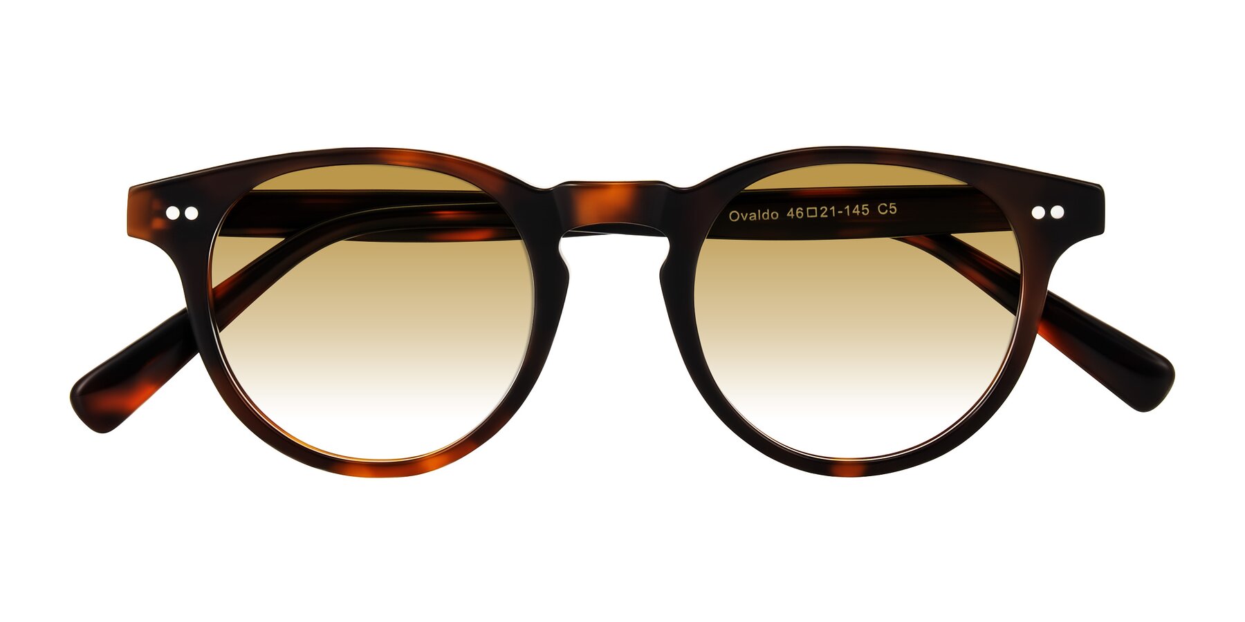Folded Front of Ovaldo in Tortoise with Champagne Gradient Lenses