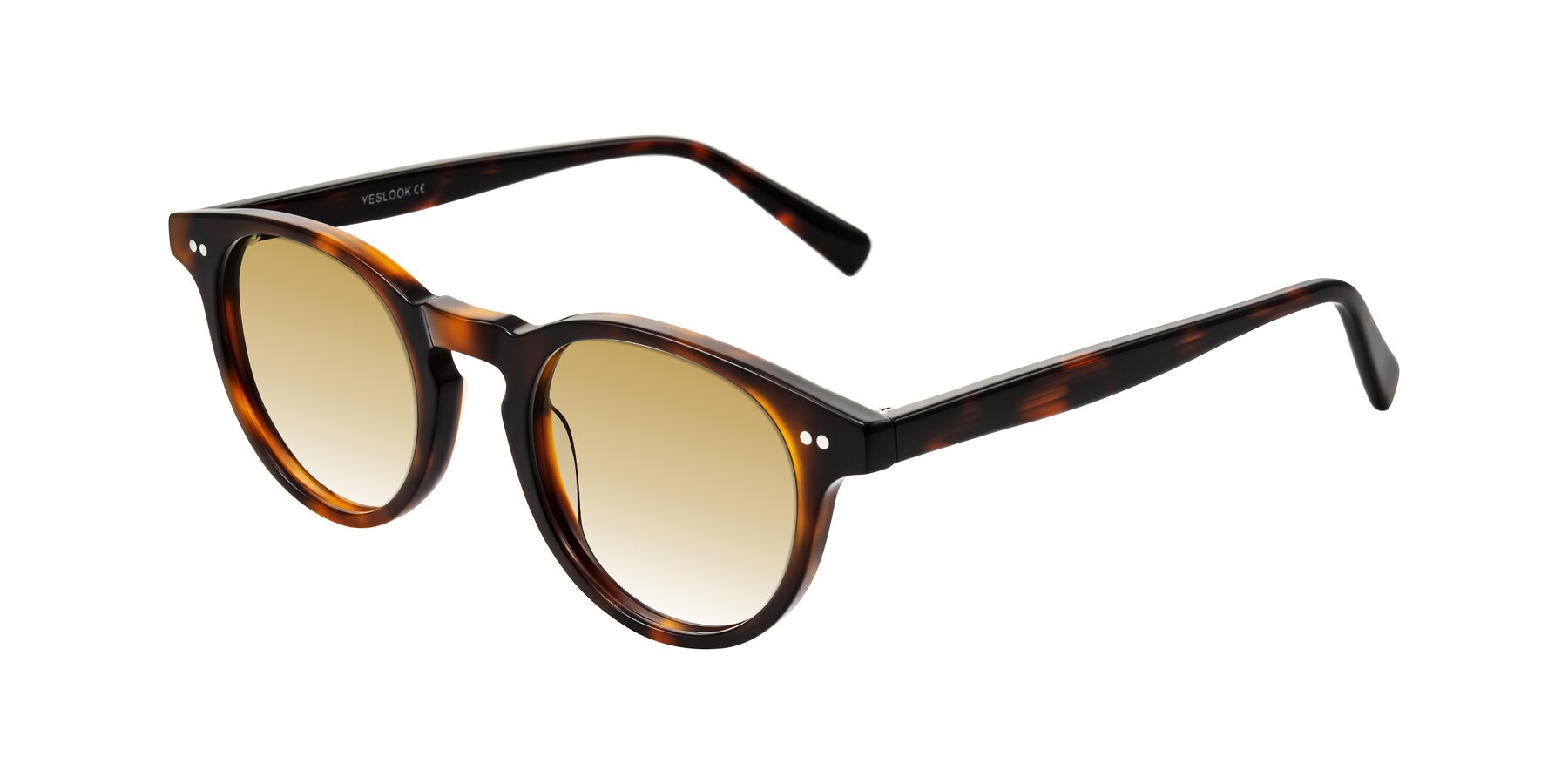 Angle of Ovaldo in Tortoise with Champagne Gradient Lenses