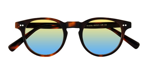 Front of Ovaldo in Tortoise