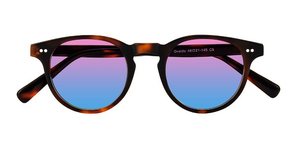 Front of Ovaldo in Tortoise