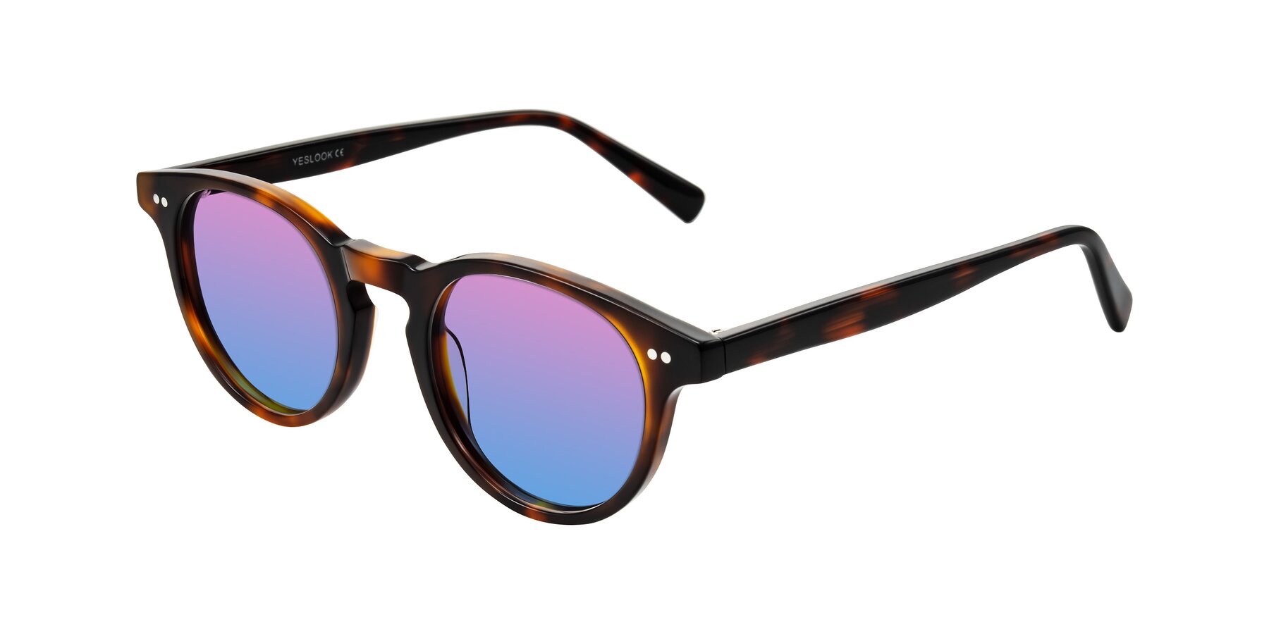Angle of Ovaldo in Tortoise with Pink / Blue Gradient Lenses