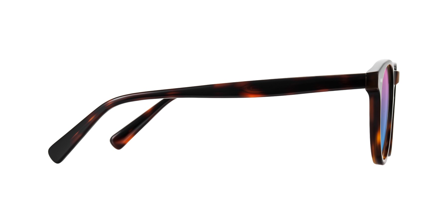 Side of Ovaldo in Tortoise with Pink / Blue Gradient Lenses