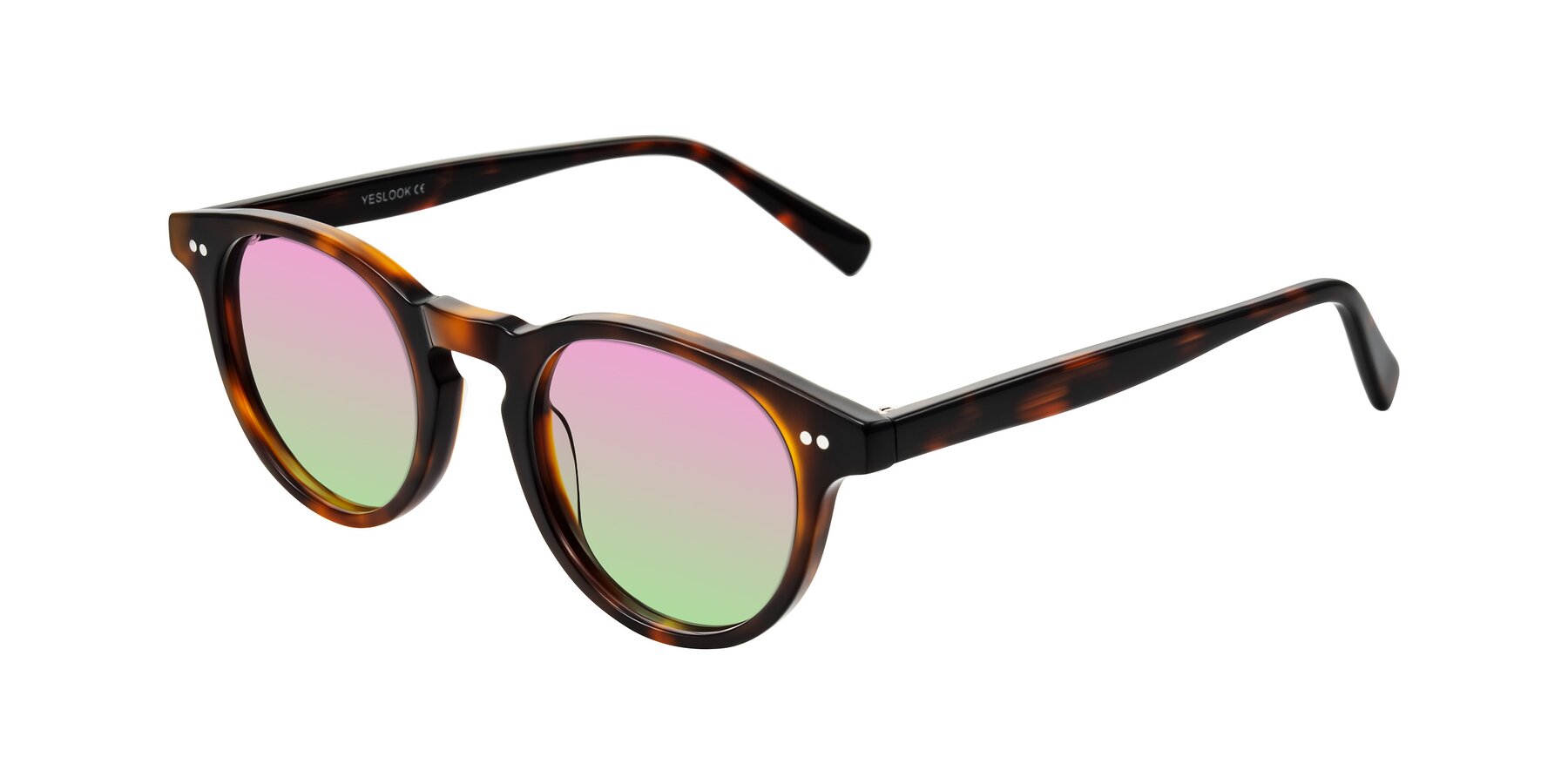 Angle of Ovaldo in Tortoise with Pink / Green Gradient Lenses