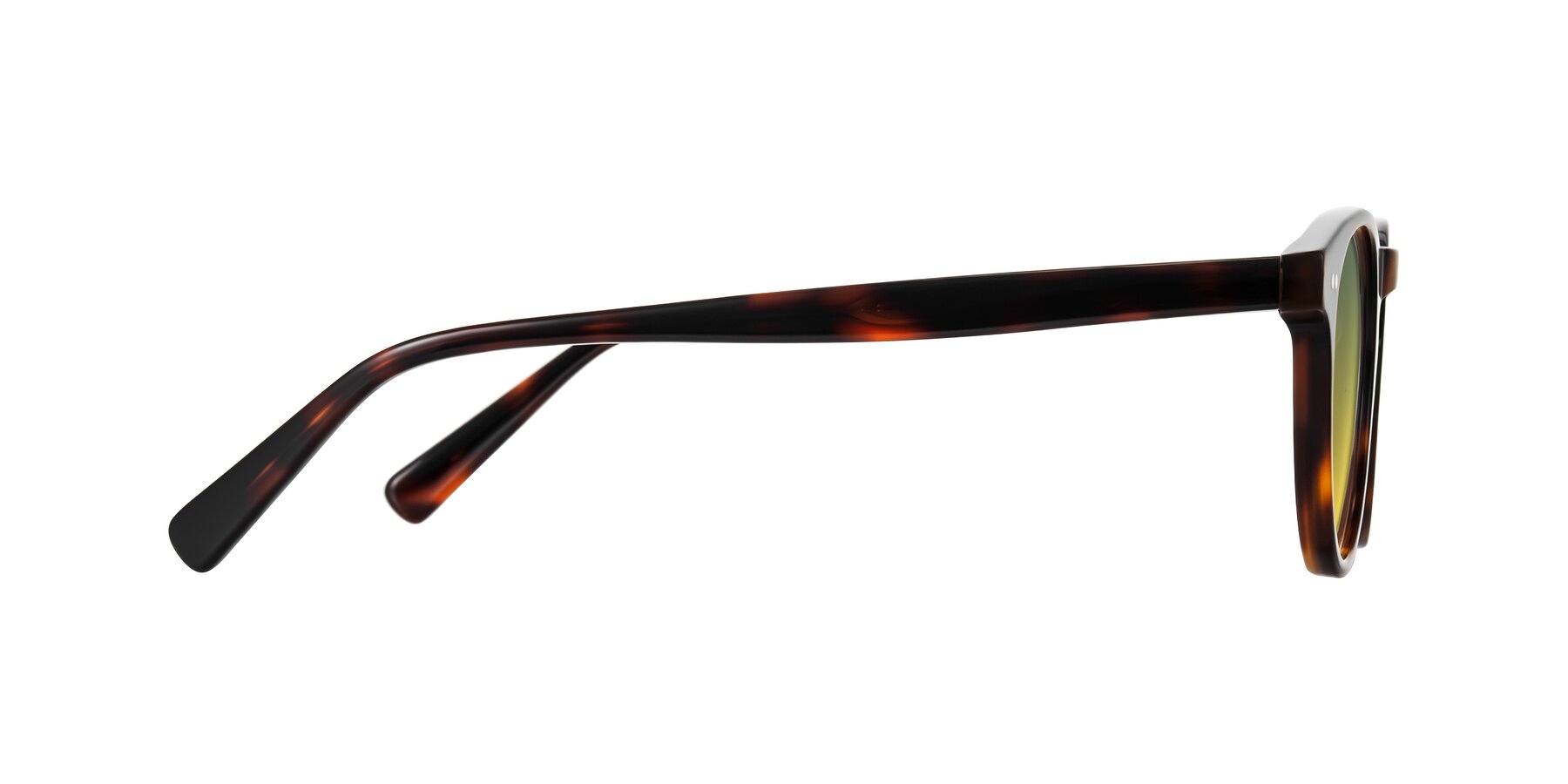 Side of Ovaldo in Tortoise with Green / Yellow Gradient Lenses