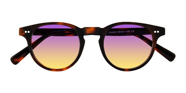 Front of Ovaldo in Tortoise